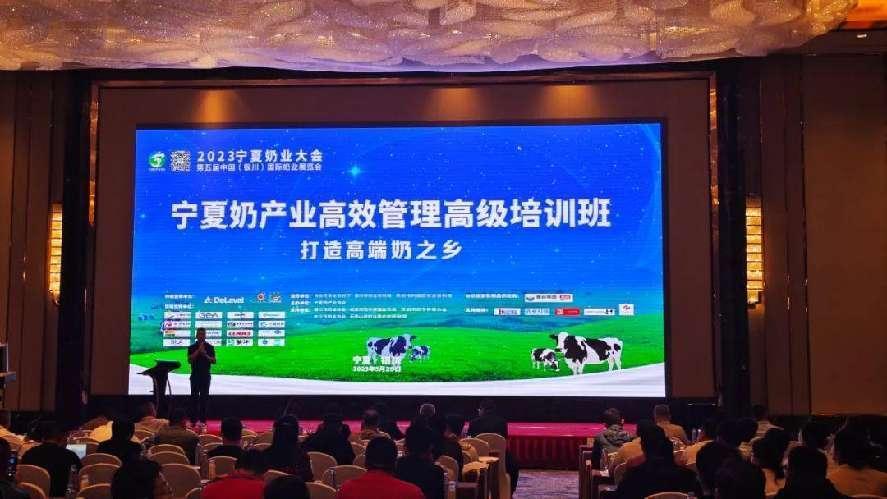 20230616100912_29588 ca88手机客户端(安卓/苹果)CA88会员登录入口